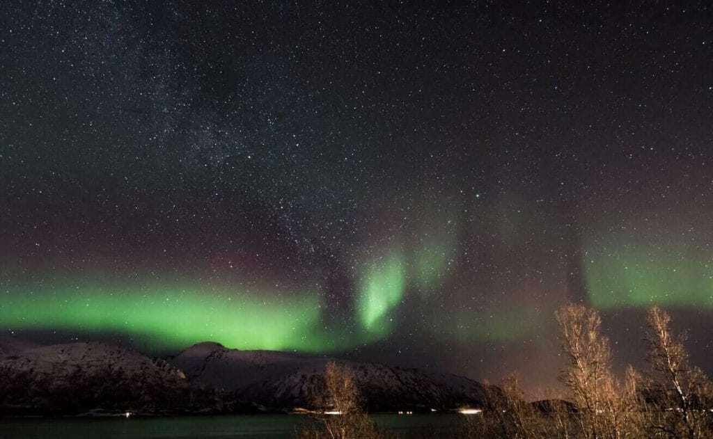 Het noorderlicht boven bomen tijdens een stage in Noorwegen
